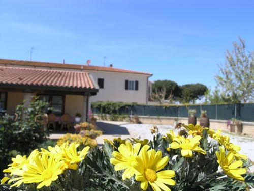 Agriturismo Podere San Michele Сан Винченцо Екстериор снимка